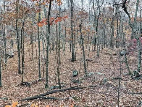 33.4 Acres Residential Land