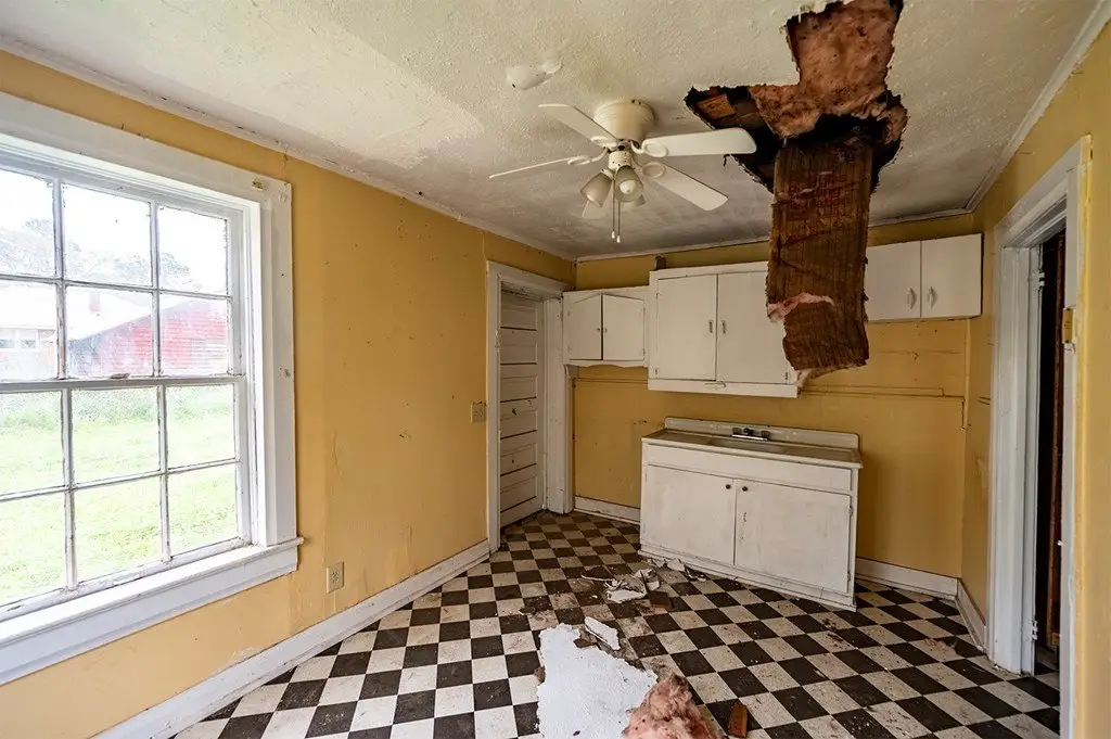 Picture 21