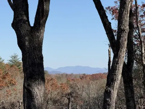 Mineral Bluff Vacant Lot For Sale