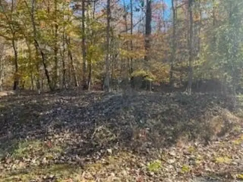 Vacant Land in Ball Ground