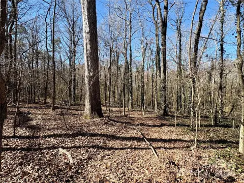 Wingate, NC Wooded Acreage