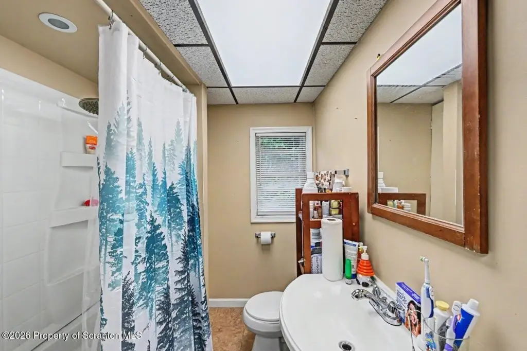Picture 52