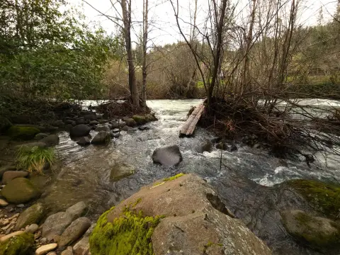 Oak Run Acreage with Creek Frontage