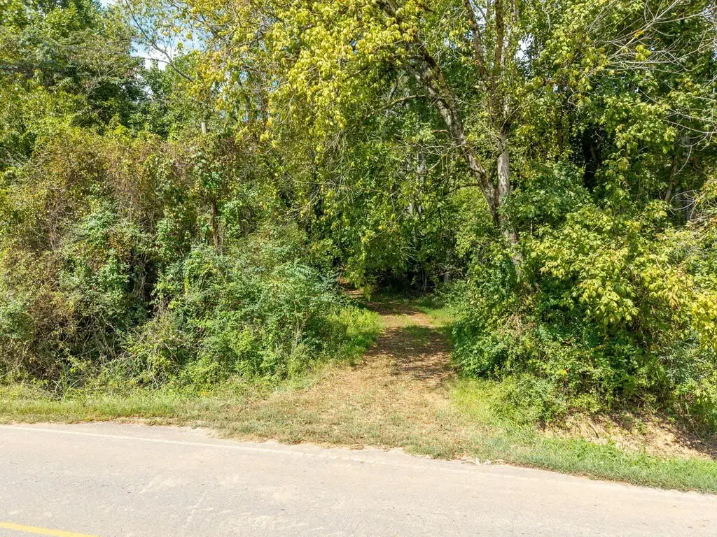Picture 21