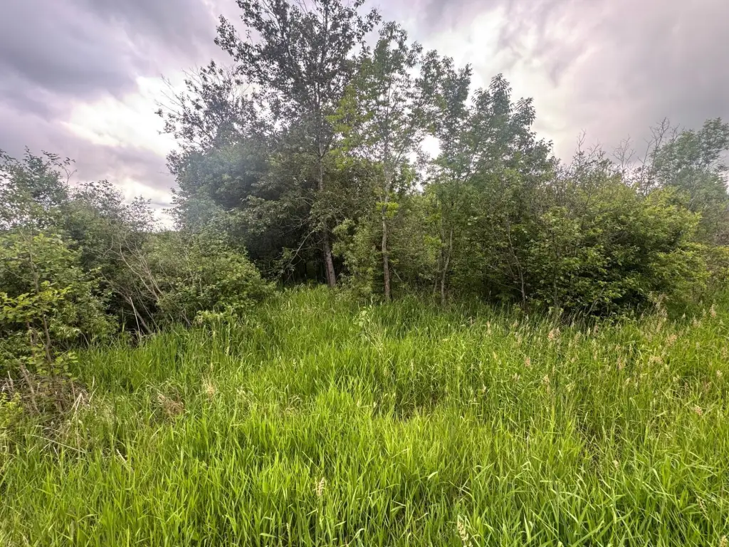 Picture 46