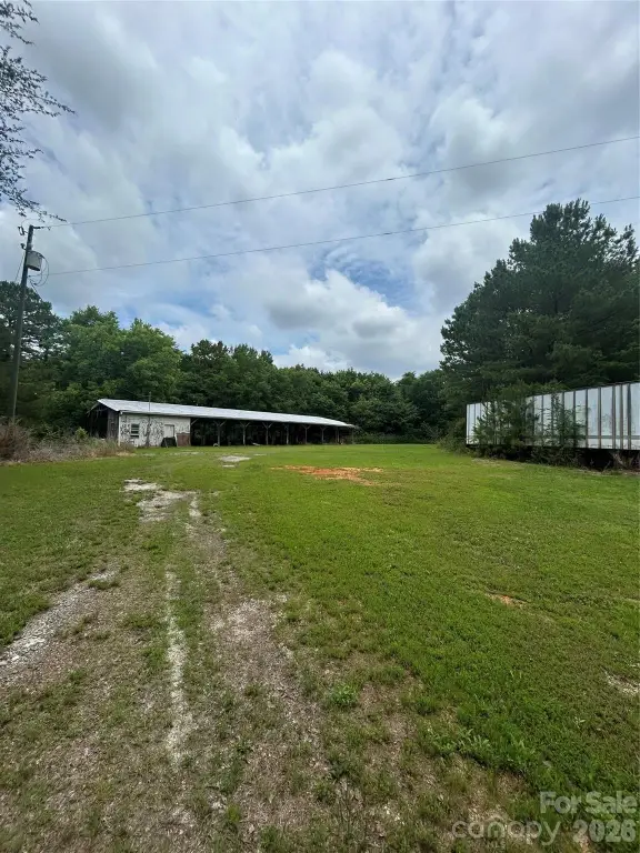 Picture 3