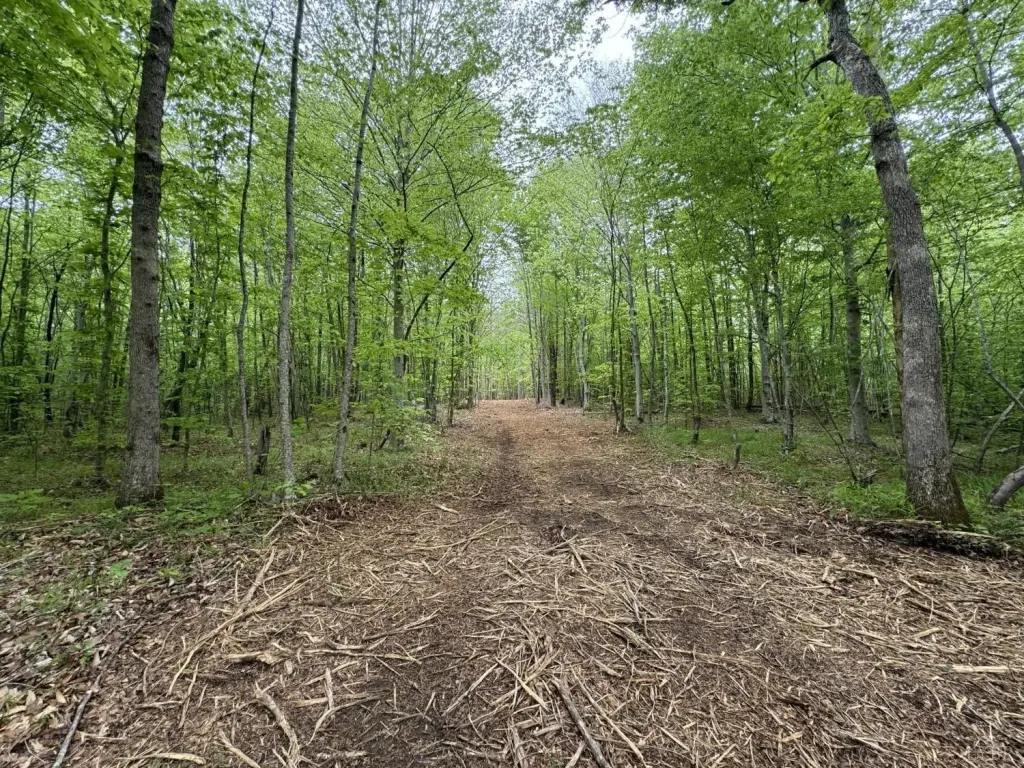 Picture 7