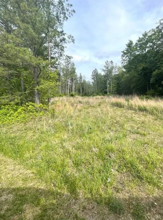 Picture 3
