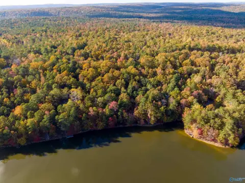 Waterfront Lot in Mentone, AL