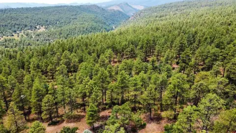 Pagosa Springs Residential Land