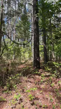 Bedford, VA Land Opportunity