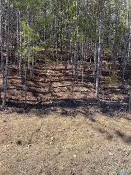 Picture of Land at Alyson Ave 2, Fort Payne, AL