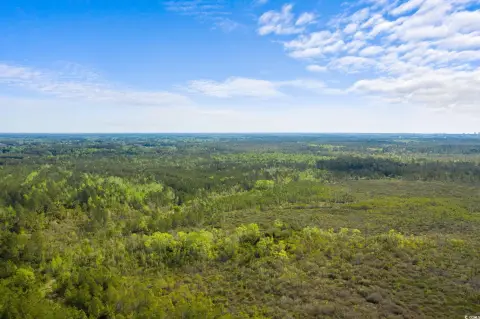 Expansive Land Near North Myrtle Beach
