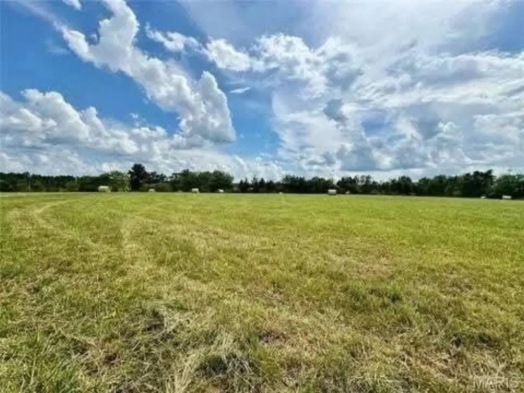 Picture 6