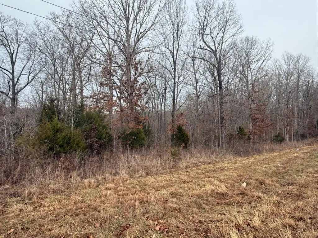 Picture 3