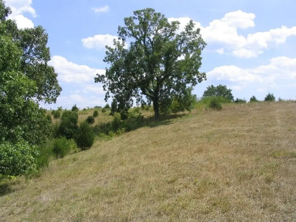 Picture 7