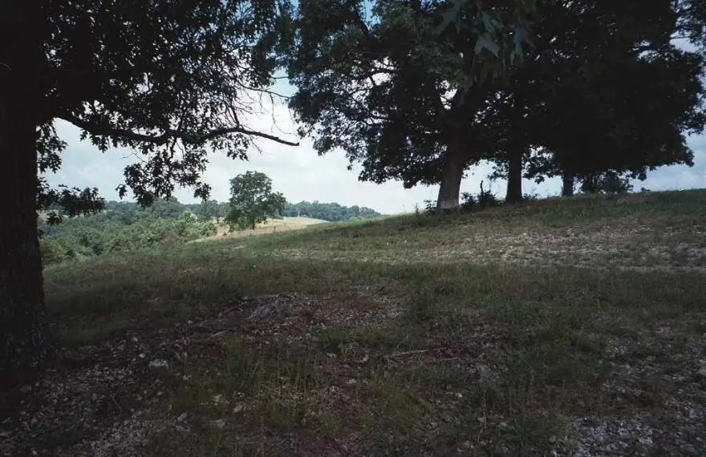 Picture 8
