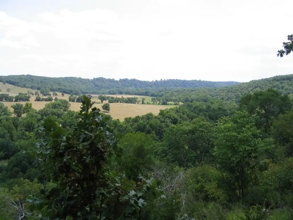 Picture 13