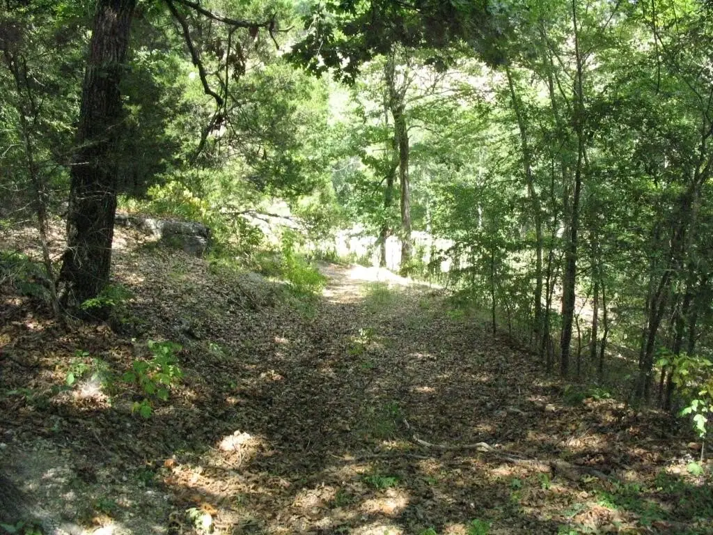 Picture 9
