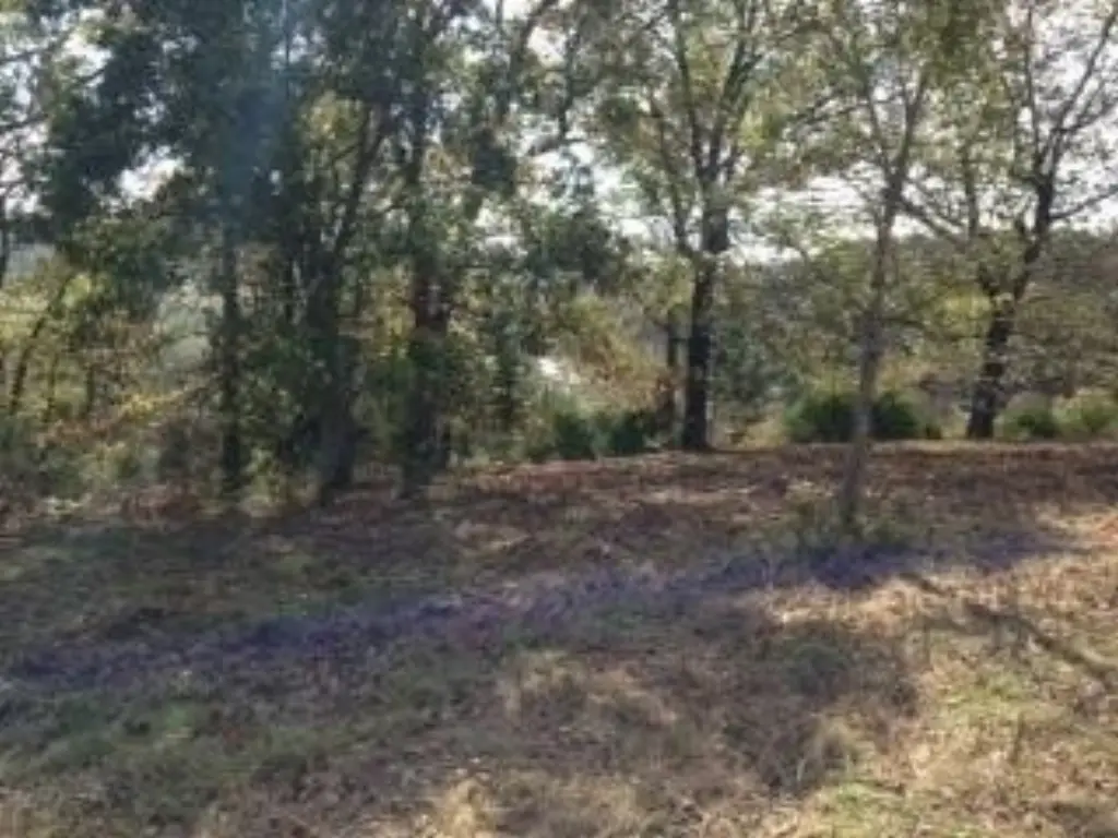 Picture 14