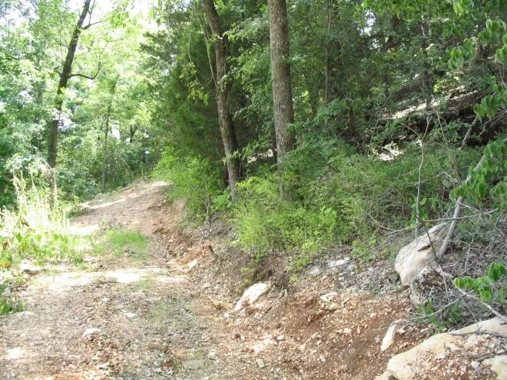 Picture 10