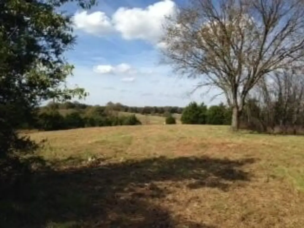 Picture 4