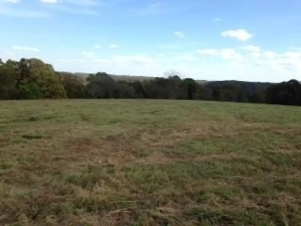 Picture 3