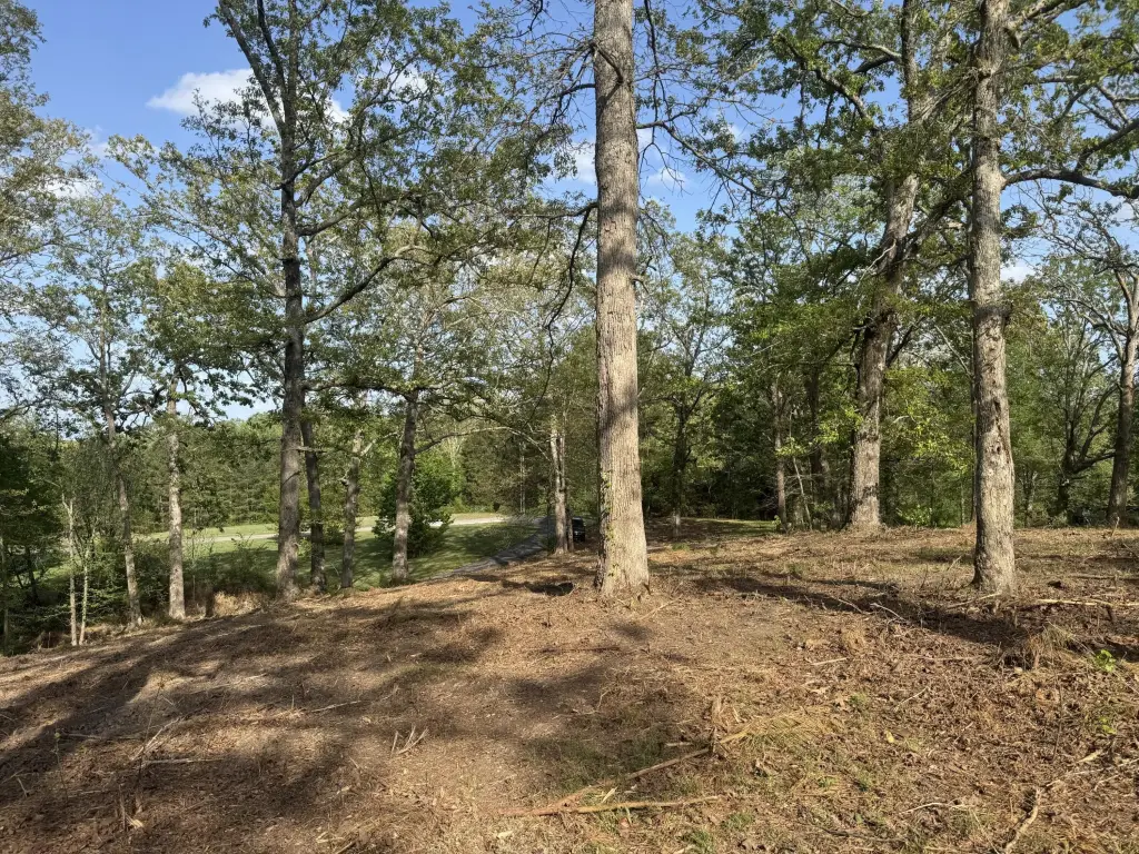 Picture 21