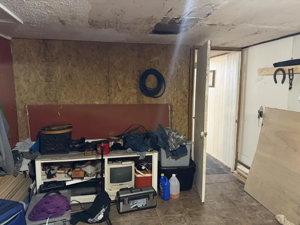 Picture 5