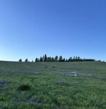 Chattaroy Land with Installed Well