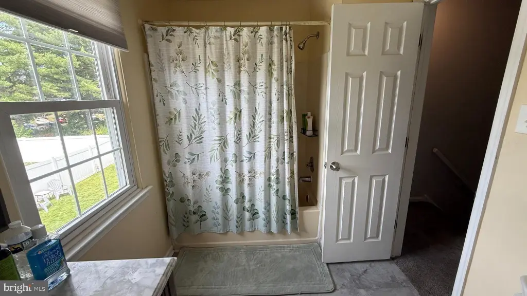 Picture 18