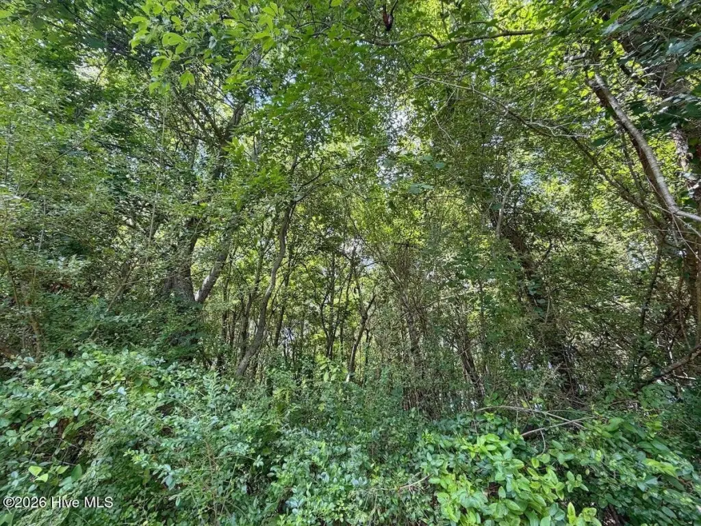 Picture 10