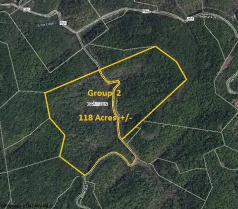 118 Acres Wooded Land