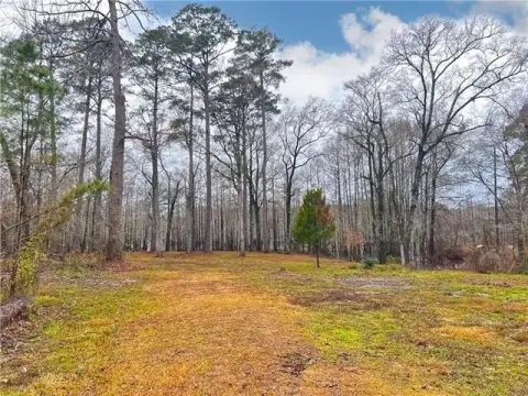 Iatt Lake Vacant Land