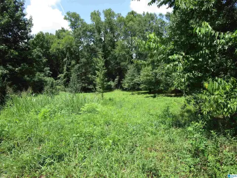 Large Lot in McCalla Highland
