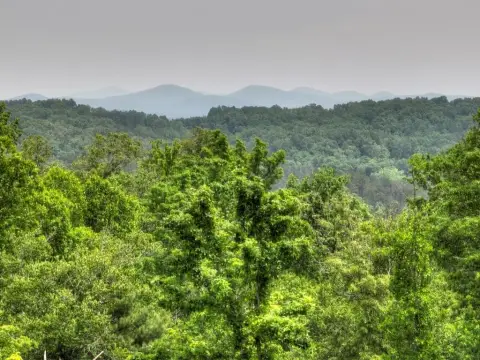 Blue Ridge Acreage with Views