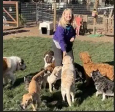 Established Doggie Daycare Business Opportunity