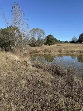 Northeast Texas Land For Sale