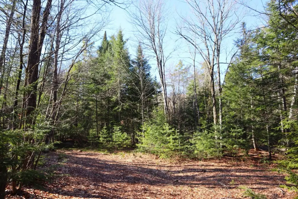 Picture 41