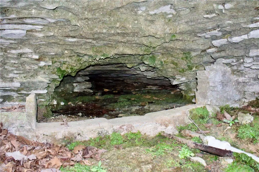 Picture 52