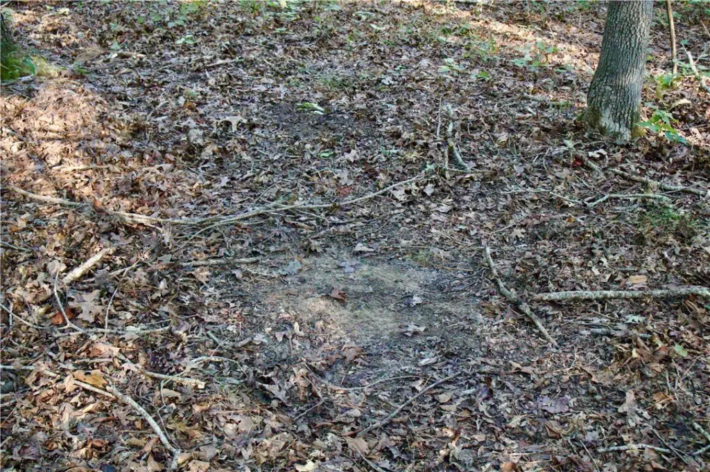 Picture 28