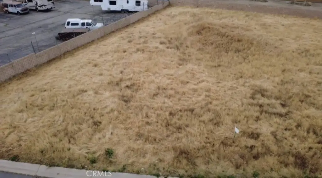 Picture 3
