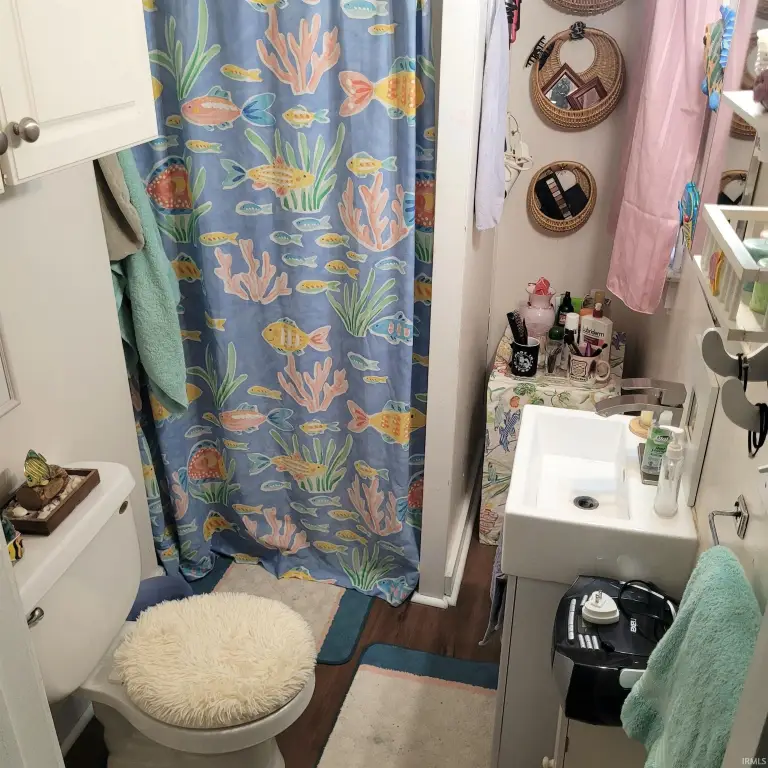 Picture 17