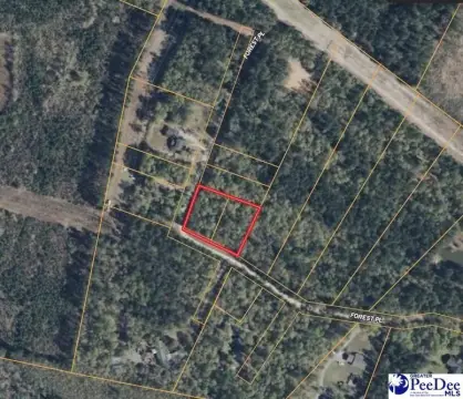 Marion, SC Wooded Residential Lots