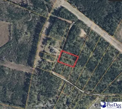 Marion, SC Wooded Residential Lots