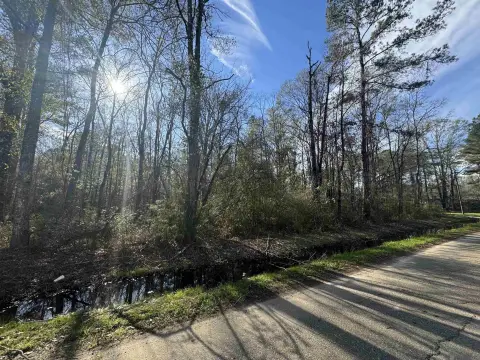Residential Land in Walker, LA