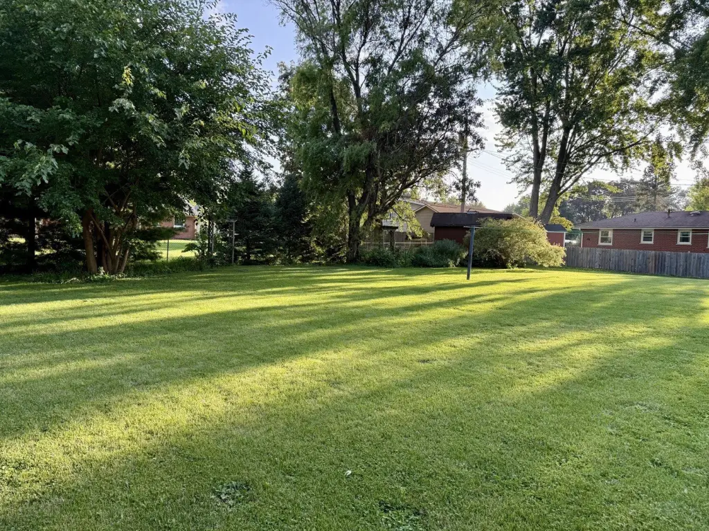 Picture 25