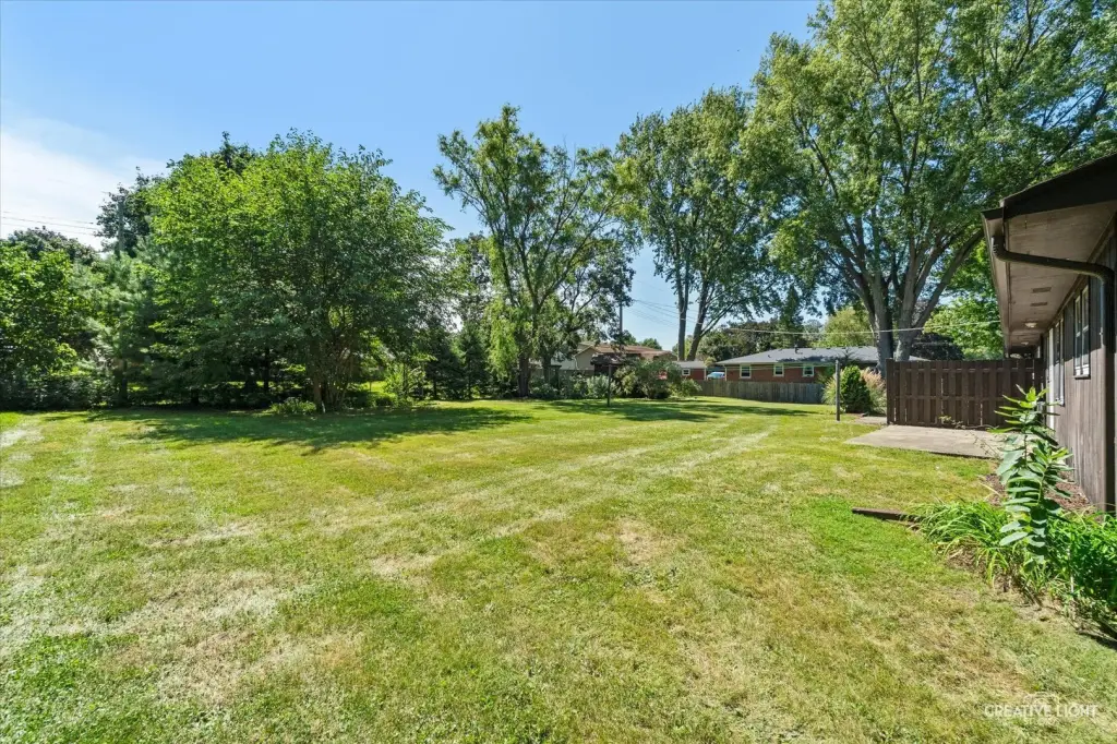Picture 24