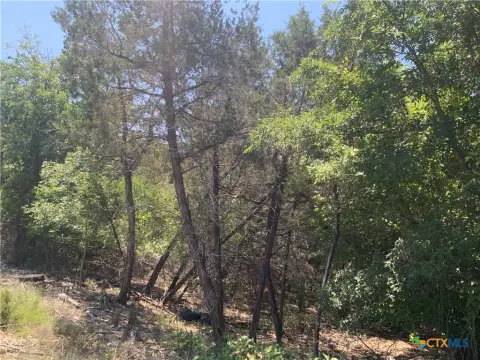 Land in Belton, Texas