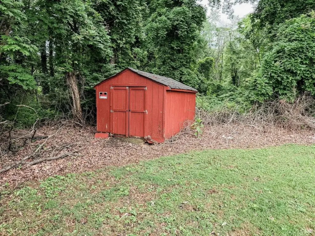 Picture 37